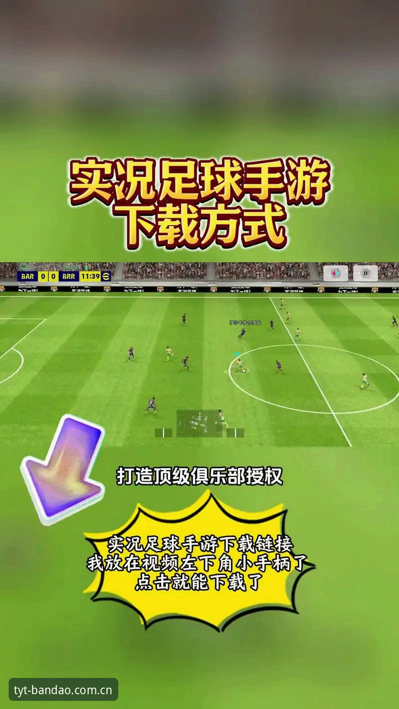 正版半岛体体育下载 vs 盗版风险：新手如何选择安全可靠的体育平台？
