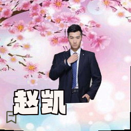 赵凯